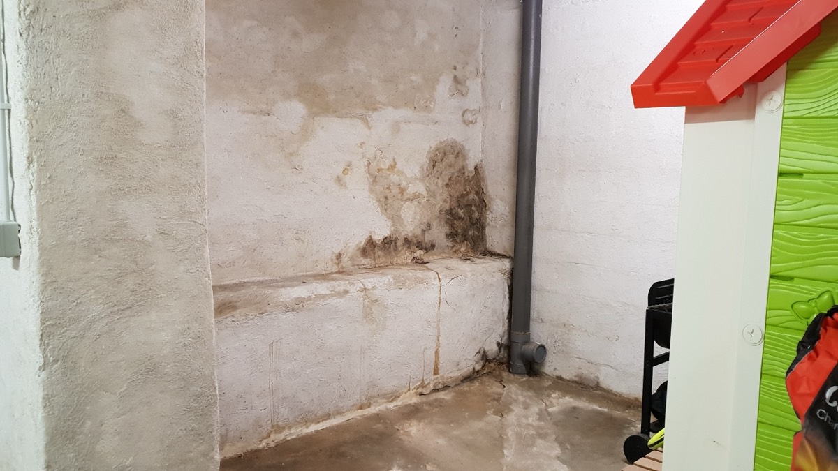 Infiltrations d'eau - Expertise humidité à Saint-Étienne